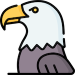 Örn